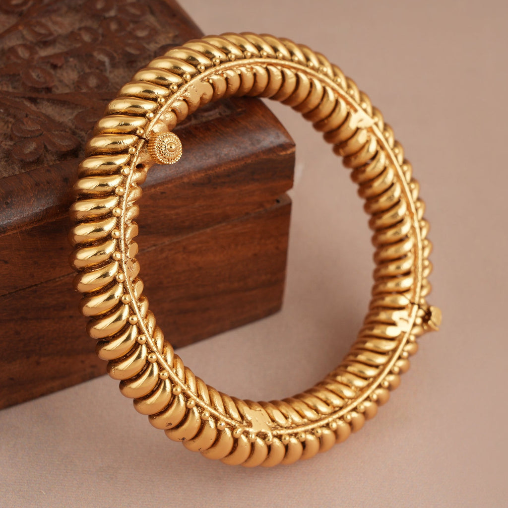 The Shringar Gold Look
