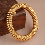 The Shringar Gold Look